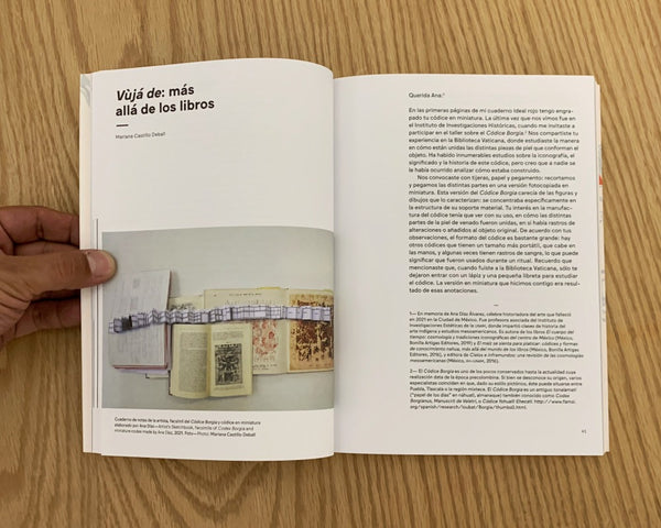 Mariana Castillo Deball. Amarantus