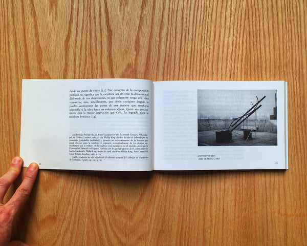 Entre el objeto y la imagen. Escultura británica contemporánea.