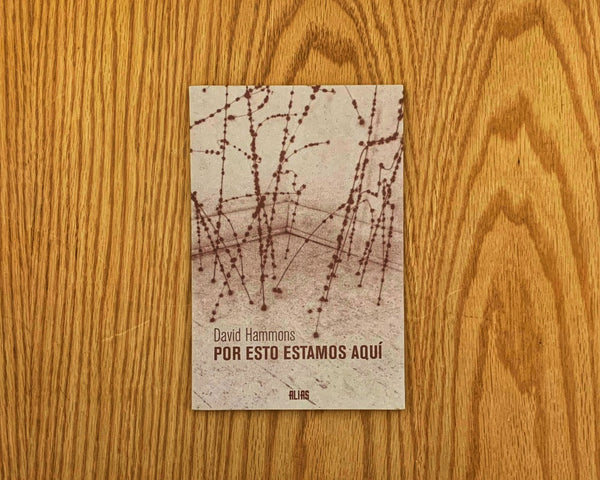 David Hammons. Por eso estamos aquí