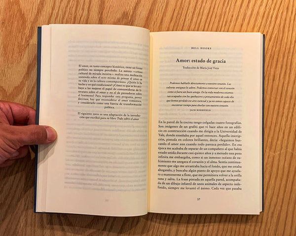 La experiencia del amor. Tentativas y miradas interiores a lo largo de una vida