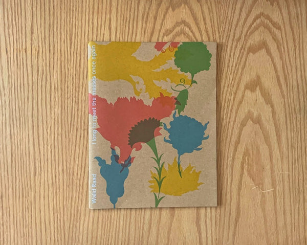 Walid Raad. I long to meet the masses once again