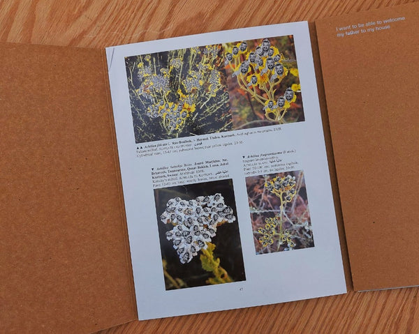 Walid Raad. Better be watching the clouds