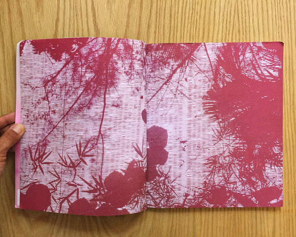 Lovely Daze, Special Edition: In Pursuit of Nothing More Than an Original Sin