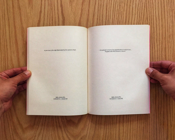 Nostalgia, David Horvitz