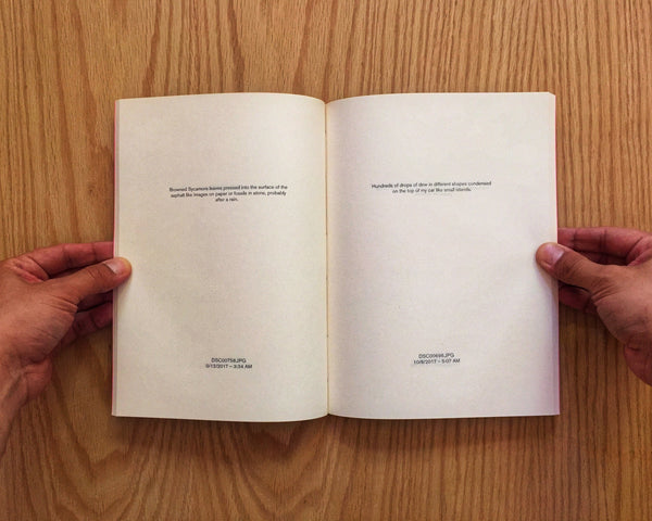 Nostalgia, David Horvitz