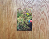 Supplement 2 - Exclusion Zones