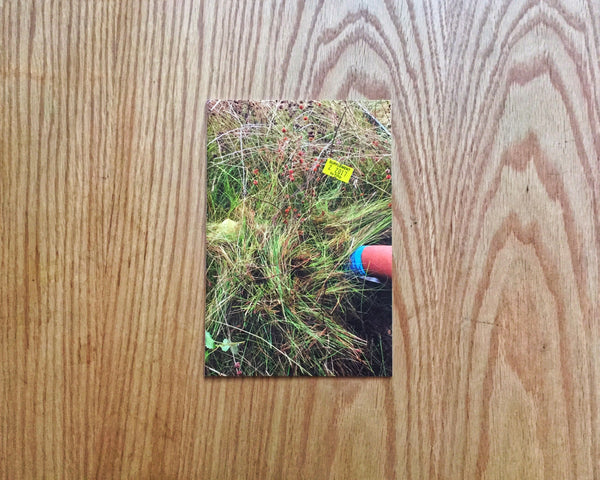 Supplement 2 - Exclusion Zones