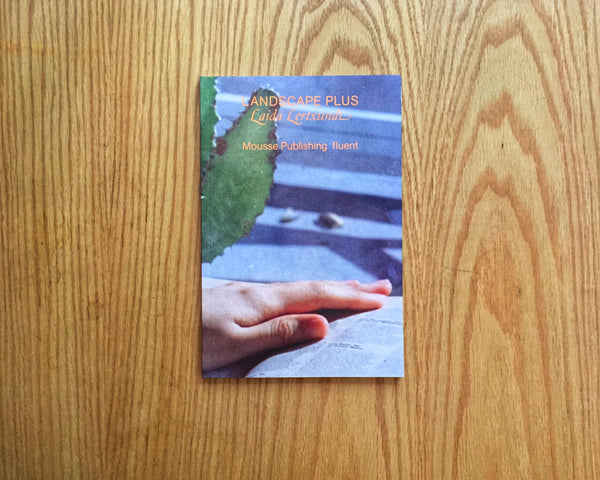 LAIDA LERTXUNDI: LANDSCAPE PLUS