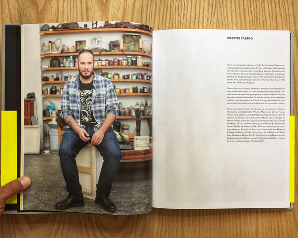 Pintura: México Vol. 1