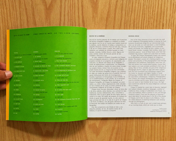 IXIM, Emiliano Guzmán Meza