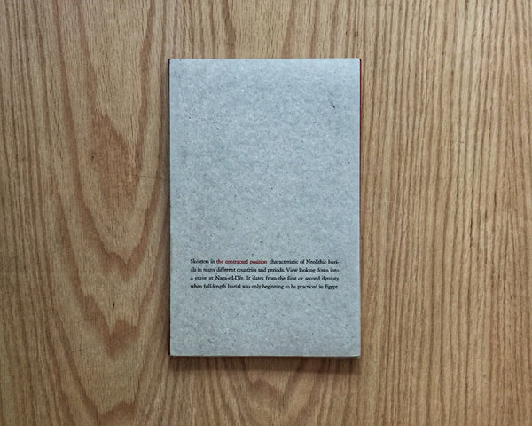 The Contracted Position, José Dávila