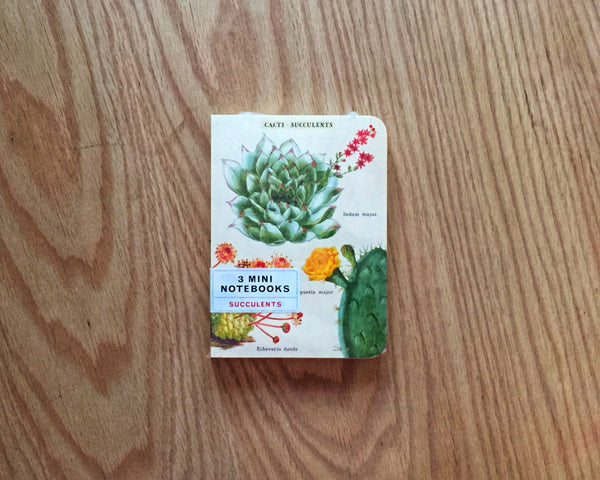 Mininotebook Succulents