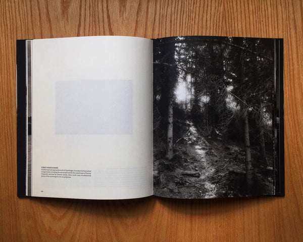 Beyond the Shadows: The Holocaust and the Danish Exception