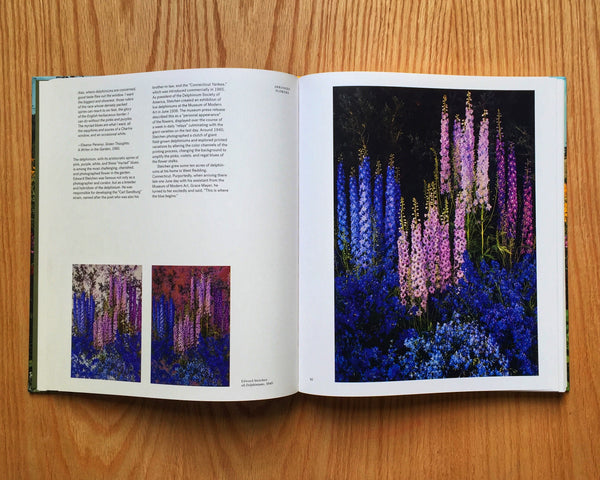 The Photographer in the Garden