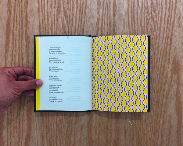 El libro de la lluvia