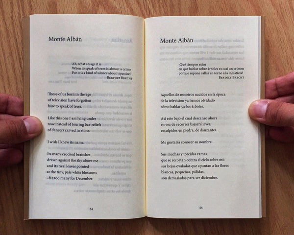 Solastalgia, Tanya Hunington