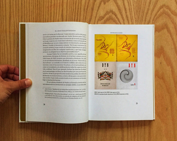 El gran malentendido, Daniel Garza Usabiaga