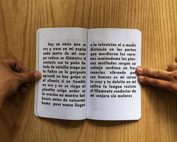 Los buenos términos, Fernanda Sandoval