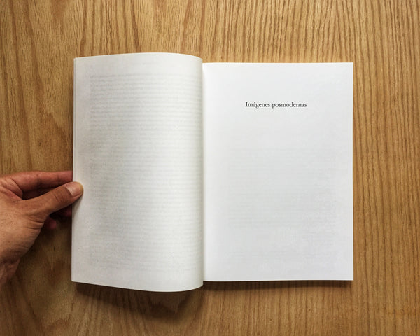 Posiciones críticas: Ensayos sobre las políticas del arte y la identidad