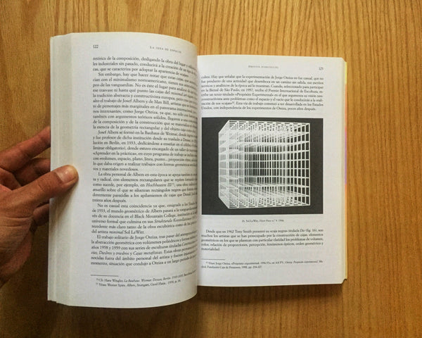 La idea de espacio en la arquitectura y el arte contemporáneo, 1960-1989