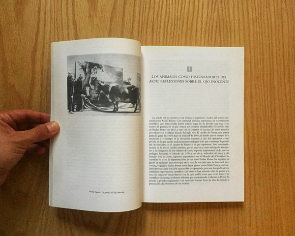 Más allá de la caja Brillo. Arthuir C. Danto