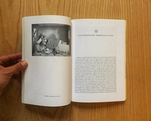 Más allá de la caja Brillo. Arthuir C. Danto