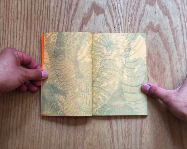 la tierra es plana como una hoja (y cabalga en el aire), Verónica Gerber Bicecci