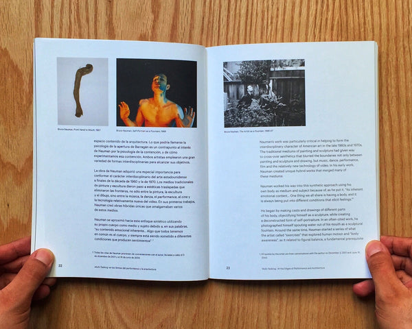 Parameters, Bruce Nauman