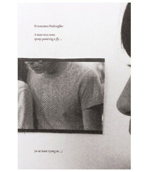 Man in a Room Spray-Painting a Fly (or at Least Trying To), A