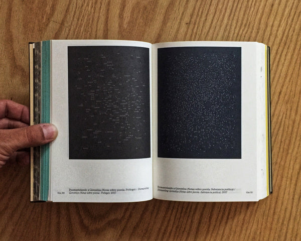 Lenguaje desmantelado / Dismantled Language, Jorge Méndez Blake