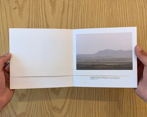 Raúl Mirlo: cómo componer un paisaje?