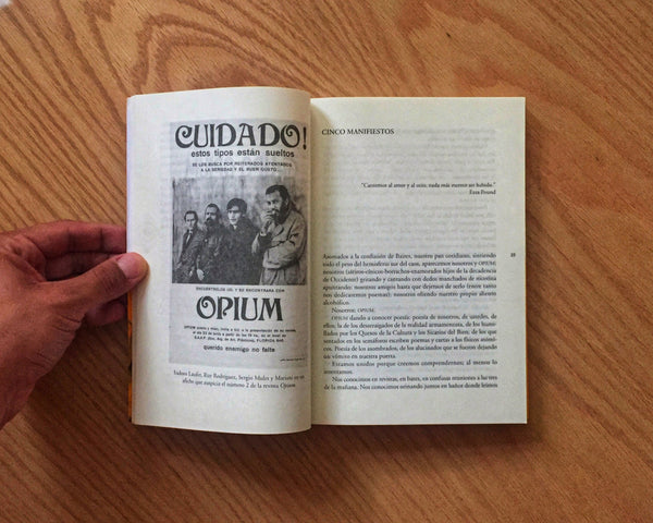ARGENTINA BEAT Derivas literarias de los grupos OPIUM y SUNDA