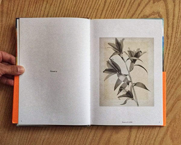 Thomas Ruff: Transforming Photography