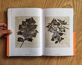 Thomas Ruff: Transforming Photography