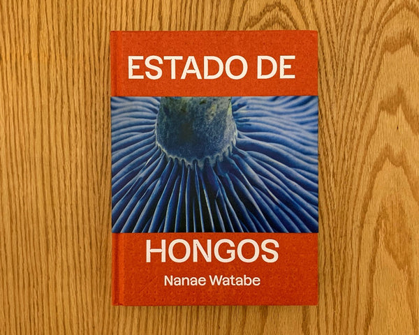 Estado de Hongos