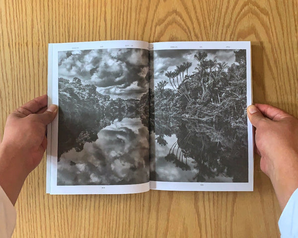 Revista UNAM, Árboles
