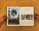 Colección de Palmas. Jardin botanico de Culiacán