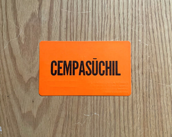 Postal Cempasúchil