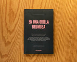 En una orilla brumosa. Cinco rutas para repensar los futuros de las artes visuales y la literatura