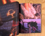 DNA , Issue 29, Nature and Wonder