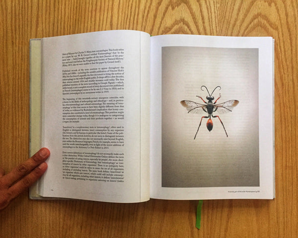 On Eating Insects