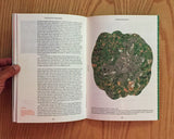 The Happy Reader. Issue 17