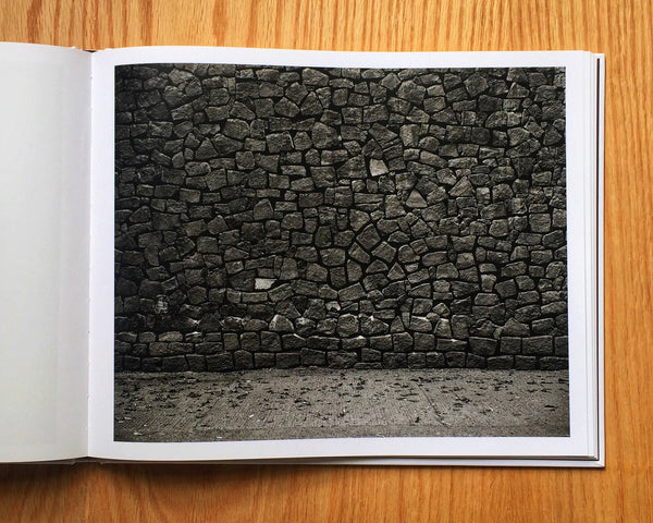 Piedra Volcánica, Pablo López Luz
