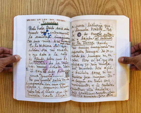 El diario de Frida Kahlo.  Una nueva mirada