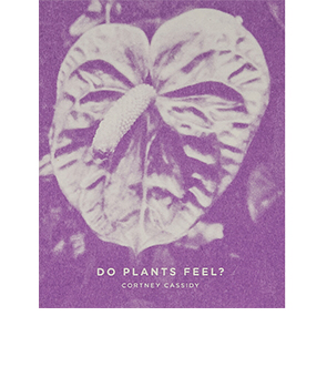Do Plants Feel